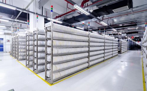 蘇相合作區(qū)企業(yè) 牽手 中國(guó)移動(dòng) 打造5g全連接工廠